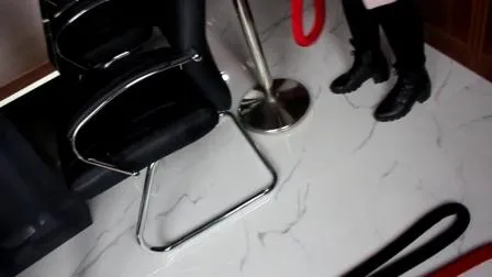 Barrière escamotable de trafic de sécurité de contrôle des foules de file d'attente d'acier inoxydable